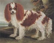 J.L.Clark King Charles Spaniel II oil painting